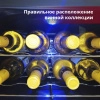 Купить отдельностоящий винный шкаф Cold Vine C8-TBF1