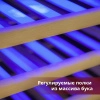 Купить отдельностоящий винный шкаф Cold Vine C38-KSF2