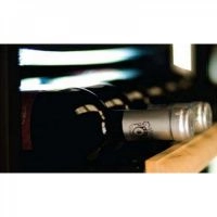 Купить отдельностоящий винный шкаф IP Industrie C 402 CF