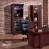 Купить отдельностоящий винный шкаф Cold Vine C46-WM1-BAR (Classic)