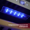 Купить отдельностоящий винный шкаф Cold Vine C38-KSF2